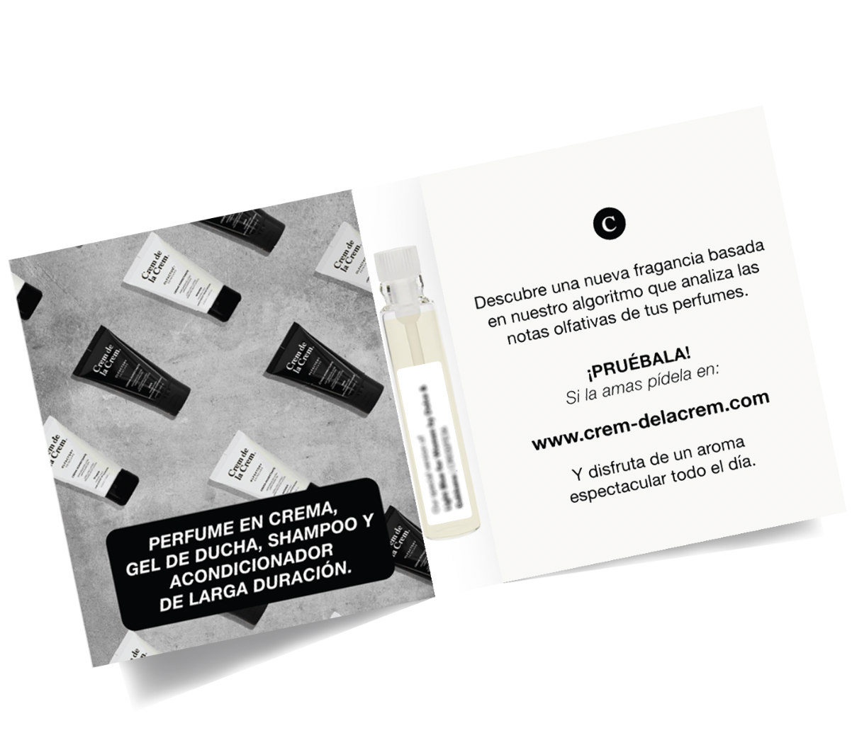 Encanto Fresco | Inspirado en Chance Eau Fraiche for Women by Chanel